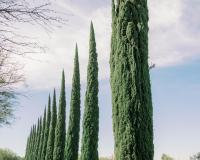 Xiaoqi-Li-Photography-2024-02-23-Rancho-Luna-Escondia-San-Miguel-De-Allende-Wedding-Venue-015