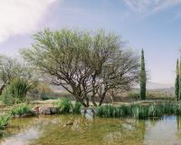 Xiaoqi-Li-Photography-2024-02-23-Rancho-Luna-Escondia-San-Miguel-De-Allende-Wedding-Venue-025