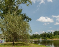 Fairview Farm Lake and Willow Tree