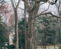 PattengalePhotography_VirginiaCliffeInn_RichmondVA_WeddingVenueTour-6571