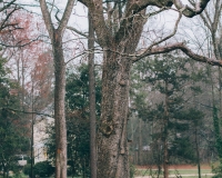 PattengalePhotography_VirginiaCliffeInn_RichmondVA_WeddingVenueTour-6571