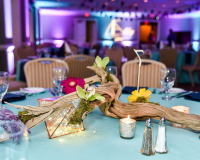 Ally_Party_13
