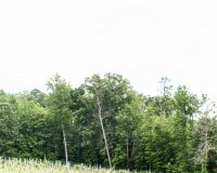 ashton creek-0010