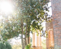 Barboursville-Wedding-Venue-21