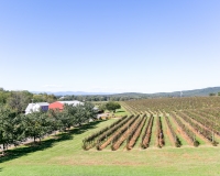 Barboursville-Wedding-Venue-8