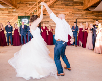 Father Daughter Dance