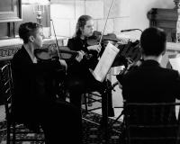 String Quartet