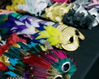 Mardi Gras Mask