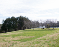 Castle-Hill-13