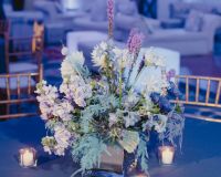 0116_Rosenberg_BatMitzvah_Sydney