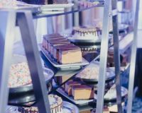 0120_Rosenberg_BatMitzvah_Sydney