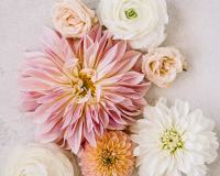 hessbergwedding_moffitphoto054