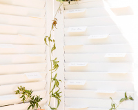 Smith Mountain Lake Wedding