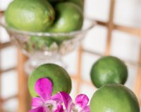 Hof Styled Shoot-0064