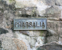 Pharsalia-81