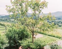DG7A8930