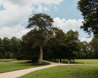 seven_springs_wedding_rebecca_burt_photography-54