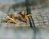 Bohemian Dream Wedding Richmond Virginia