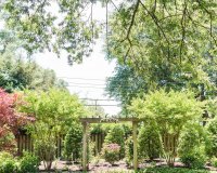 tuckahoe womens-0033