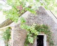 tuckahoe plantation-0001