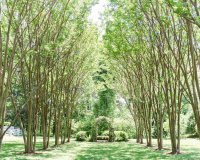 tuckahoe plantation-0014