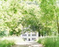 tuckahoe plantation-0025