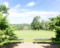 Oak-Ridge-Estate-54