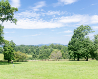 Oak-Ridge-Estate-55