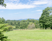 Oak-Ridge-Estate-56