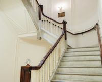 HGF02410