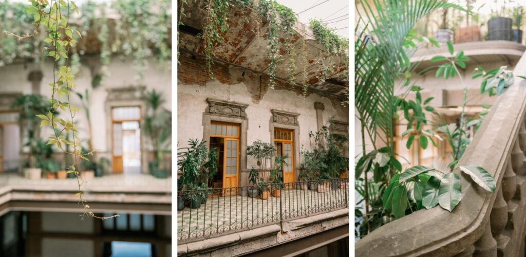 A wrought-iron railing surrounding a balcony with trailing plants and wooden doors