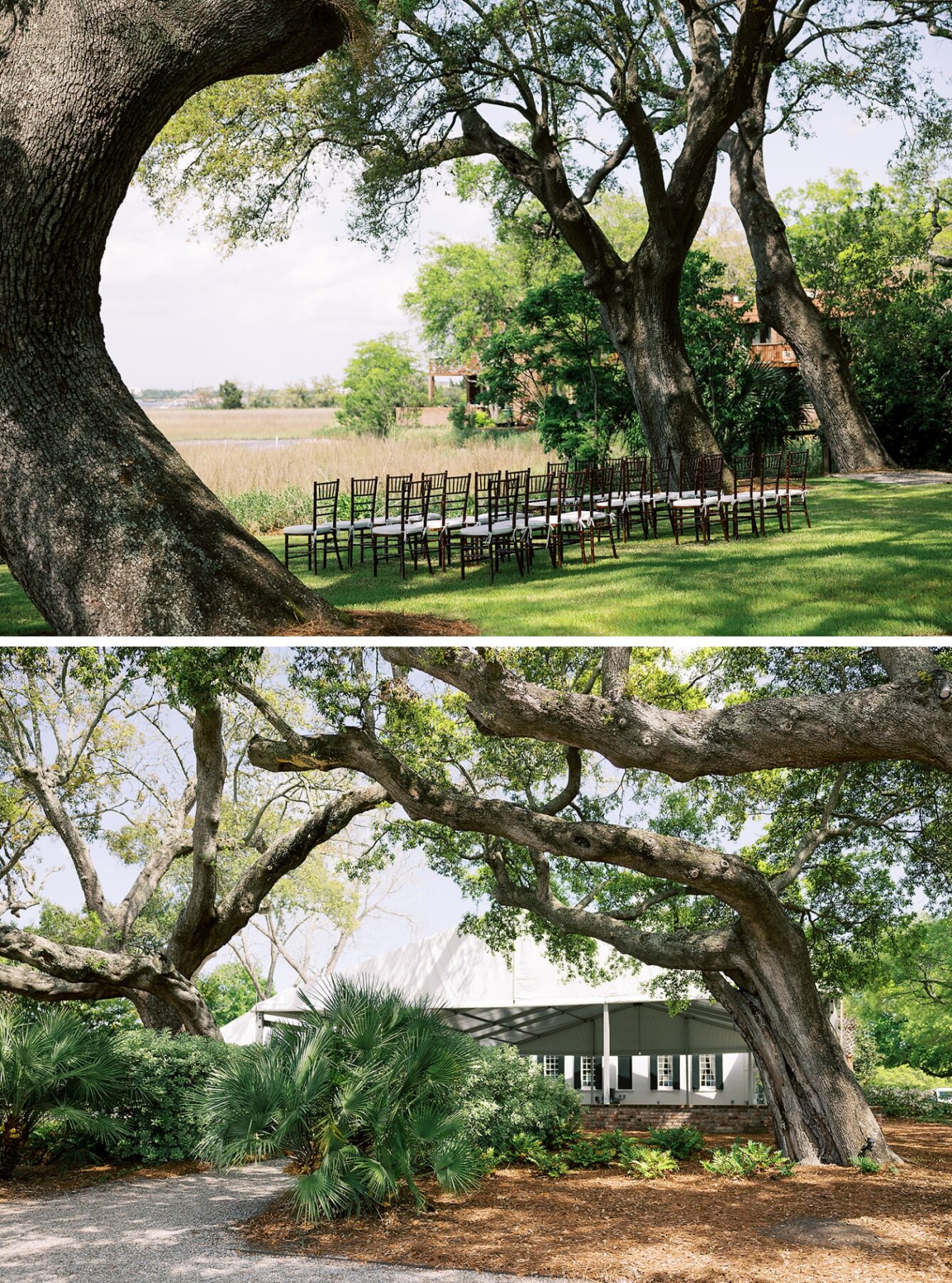 An outdoor wedding ceremony on the waterfront of the Ashley River at Lowndes Grove