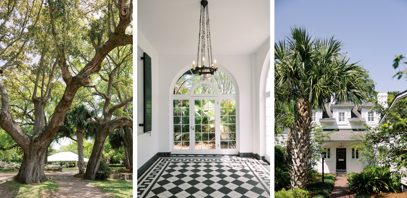 A grove of live oak trees with Spanish moss outside the Lowndes Grove historic home