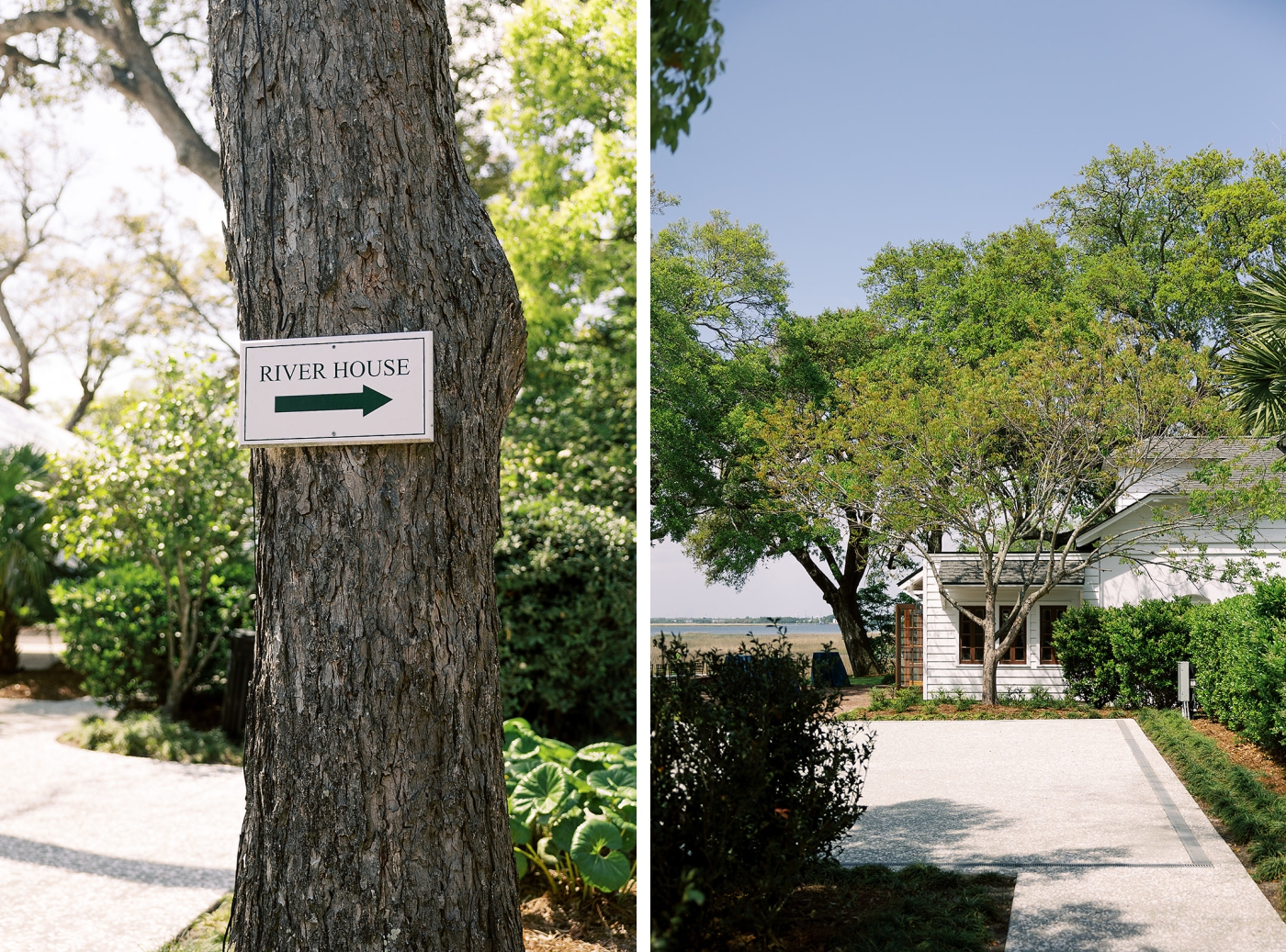 A sign on a tree pointing to the river house at Lowndes Grove