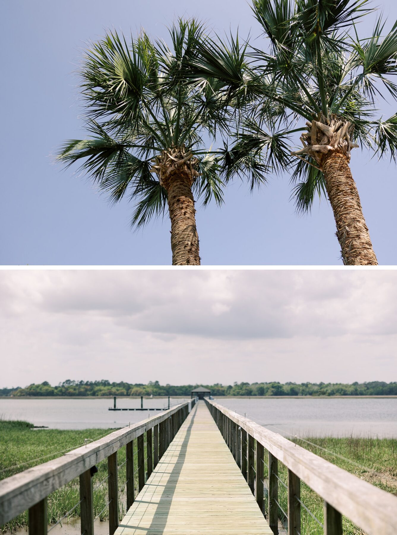 A dock leading out to the Ashley River in Charleston, South Carolina