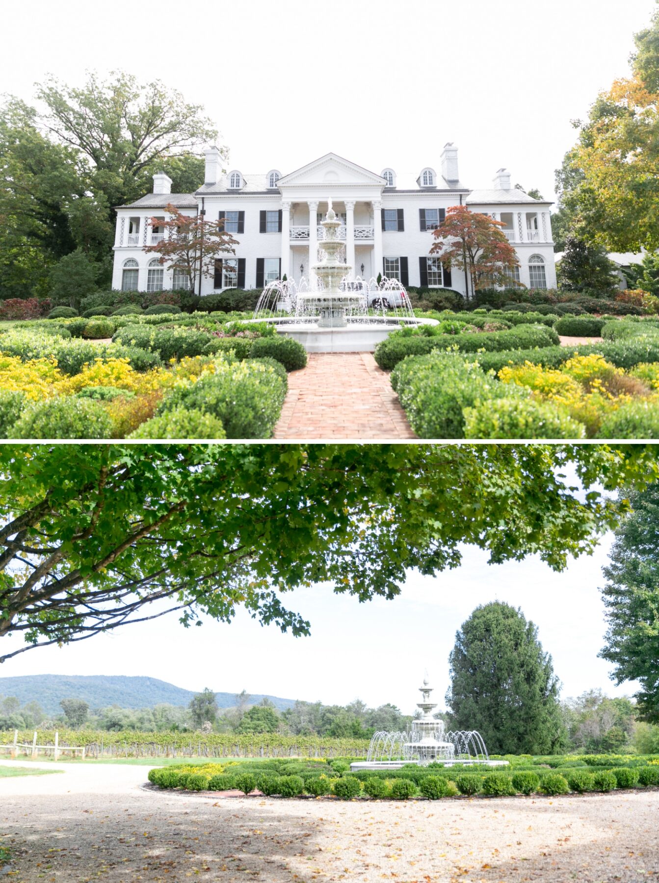 A wide view of Keswick Vineyard, a sprawling white mansion with manicured gardens
