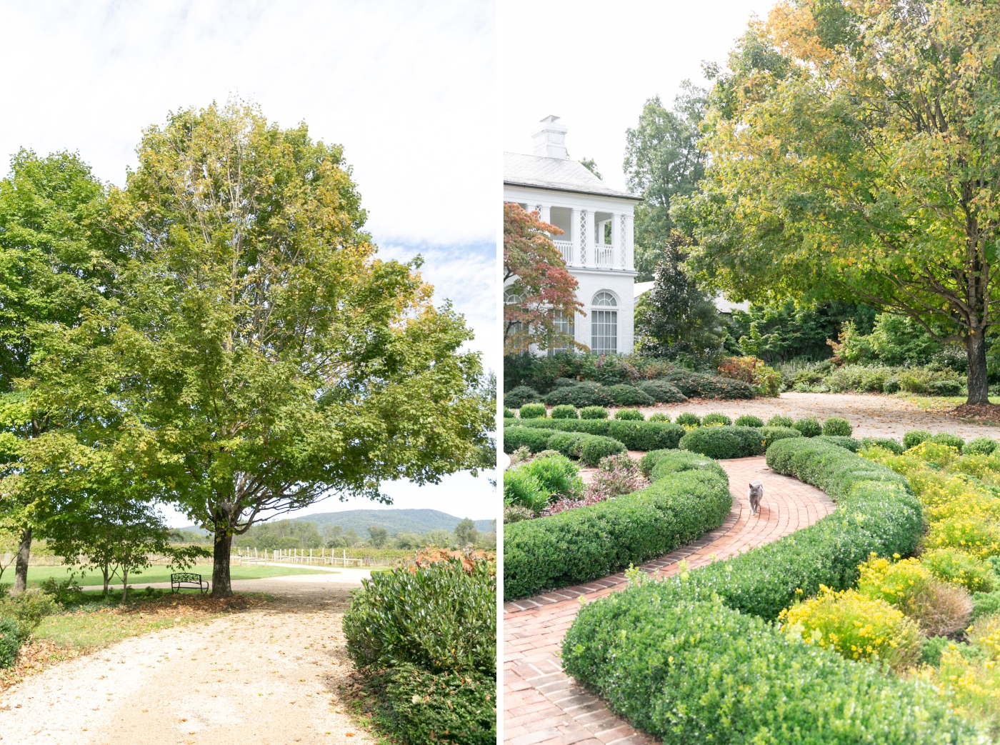 A manicured garden path leading to the front entryway of Keswick Vineyard