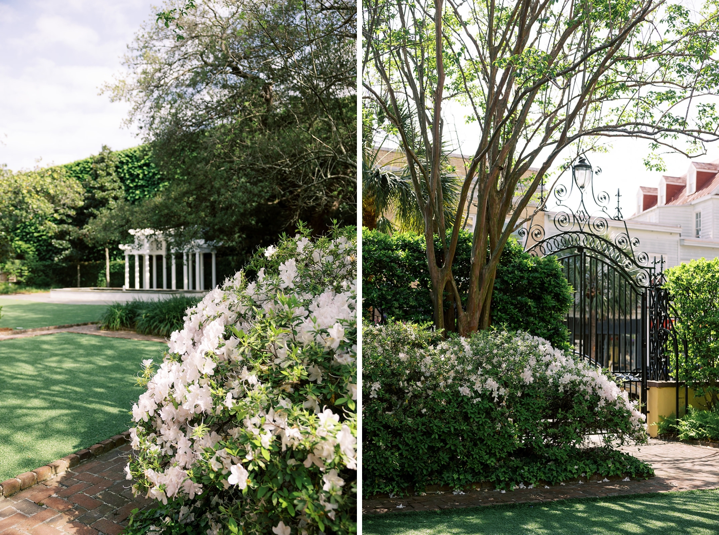 A bush blooming with white flowers on the front lawn of the William Aiken House with the white pergola in the background